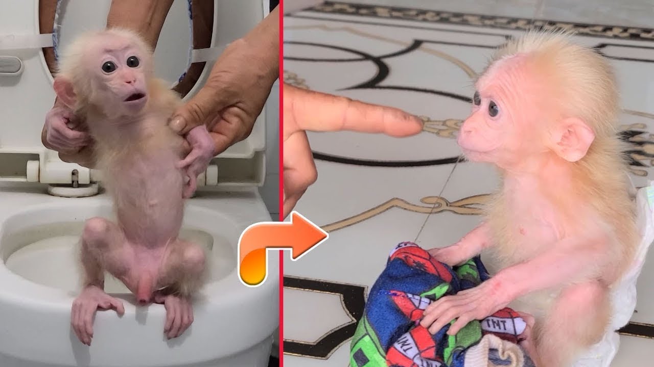 Wow, So Beautiful Baby Tauch Wearing Cute Outfit Sleep Waiting Mom Feed Milk